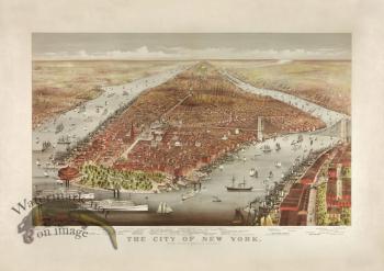 The City of New York